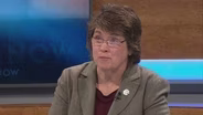 Kathleen Vinehout On Run For Governor, Controversial Letter