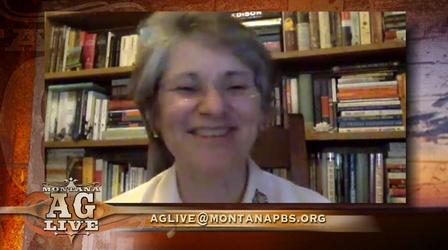 Video thumbnail: Montana Ag Live MSU's Future In Agriculture (No. 5309)