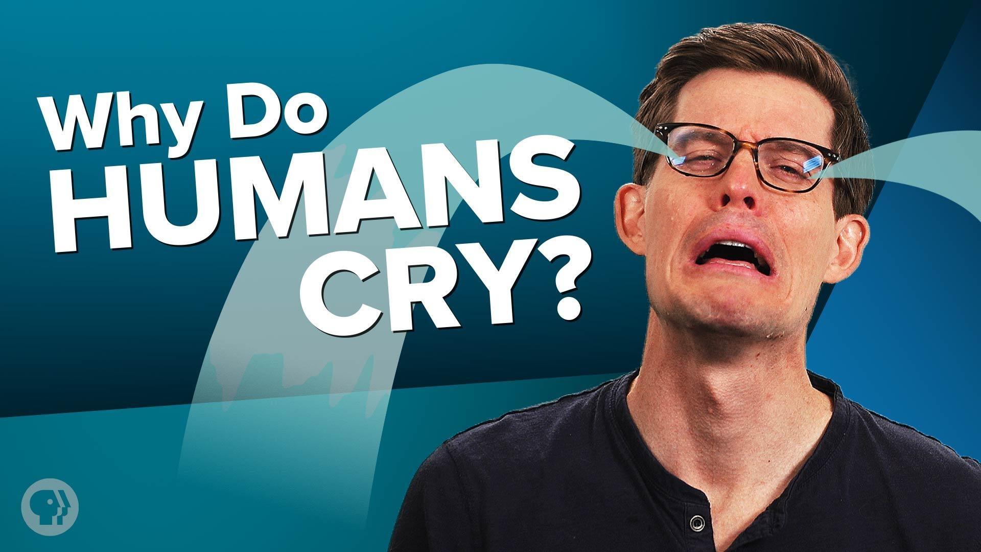 Be Smart | Why Do We Cry? | Season 6 | Episode 20 | PBS