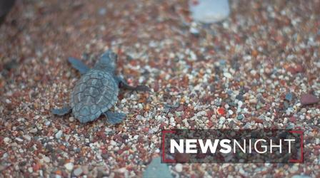 Video thumbnail: NewsNight Central Florida’s Coastal Environment