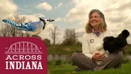Maintaining Indiana's 'Oasis for Birds'