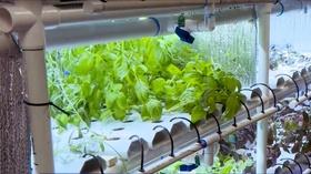 Video thumbnail: KLRN SciTech Now Feb. 28, 2019 | Hydroponics and robotics