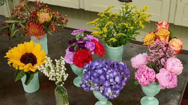 J Schwanke's Life In Bloom | Flower Tales