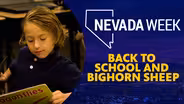 Back to School and Bighorn Sheep