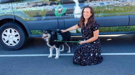 Video thumbnail: Southern Oregon Responds Dogs for Better Lives