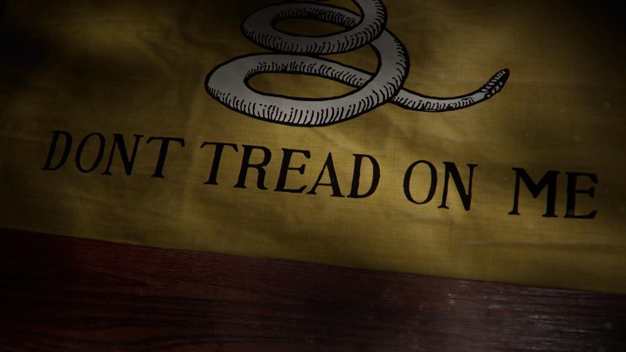 Iconic America | Flags 101 - The Gadsden Flag
