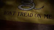 Flags 101 - The Gadsden Flag