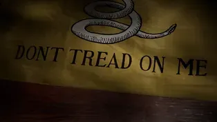 Flags 101 - The Gadsden Flag