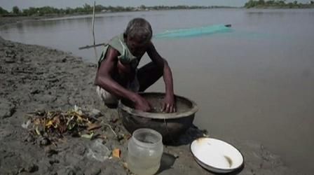 Video thumbnail: Earth Focus Exposed: The Ugly Side of Food Production