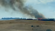 Fire Prevention & Pine Needle Blight