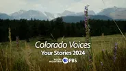 Your Stories 2024