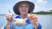 Preview | Crabs Galore