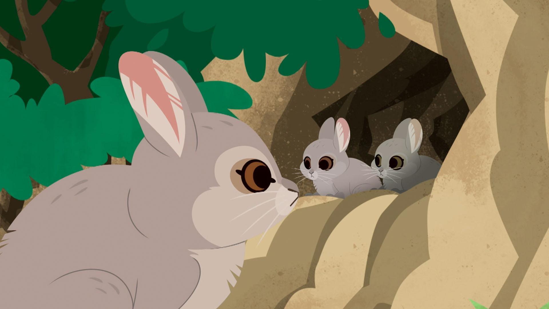 In Search of the Easter Bunny