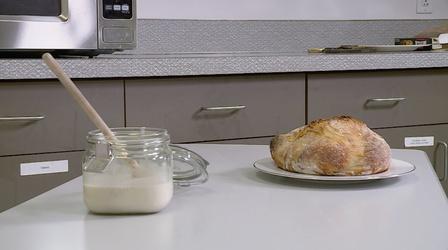 Video thumbnail: Digital Shorts Tell Me A Story in Food - Sourdough Starter