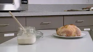 Tell Me A Story in Food - Sourdough Starter