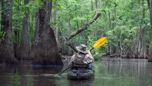 Roanoke River Paddle Trail