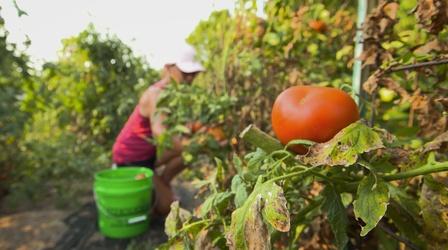 Video thumbnail: Greetings from Iowa Asbury Garden Ministry
