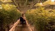 NJ grant program for aspiring cannabis business operators
