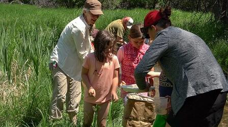 Video thumbnail: Nature WY Macroinvertebrates