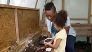 Vermicompost