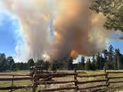 Two senators on working across the aisle to combat wildfires