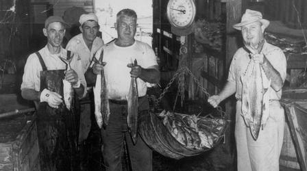 Video thumbnail: Florida Frontiers Mosquito Beaters Memories