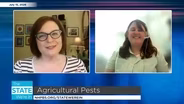 Agricultural Pests