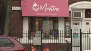 Modern and Traditional Mix at Mestiza Shop in Pilsen
