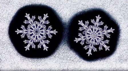 Video thumbnail: Deep Look Identical Snowflakes? Scientist Ruins Winter For Everyone