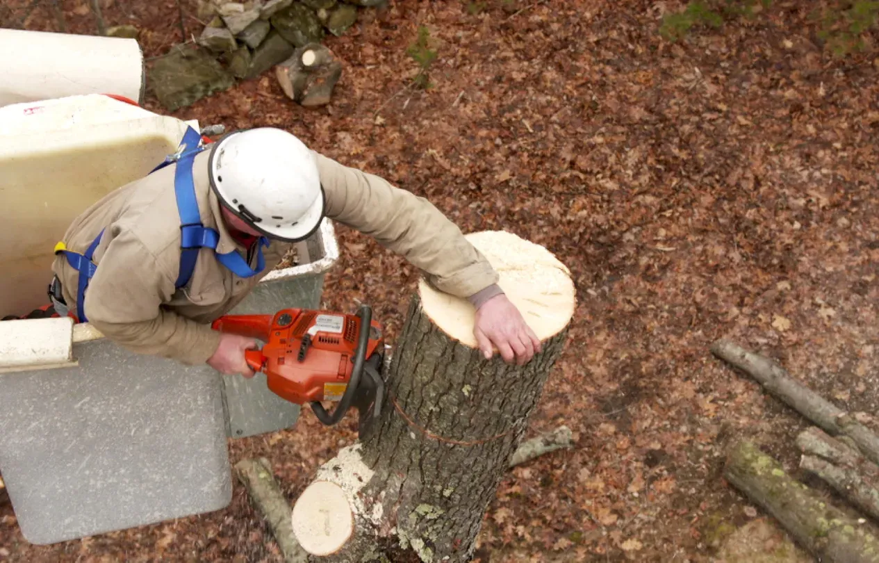 Ask TOH | Tree Removal, Garage Door Opener
