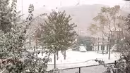 Halloween Snowfall in Chicago