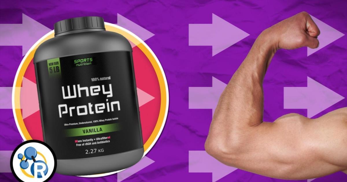 Reactions How Does Protein Build Muscle? Season 3 Episode 31 PBS