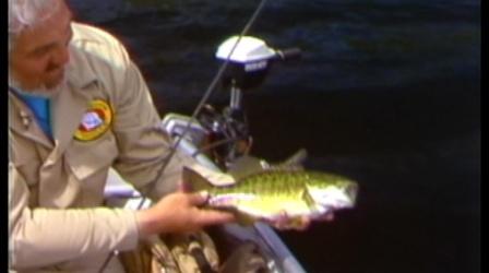 Video thumbnail: Rod & Reel Streamside Beauchene Smallmouths