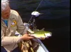 Beauchene Smallmouths