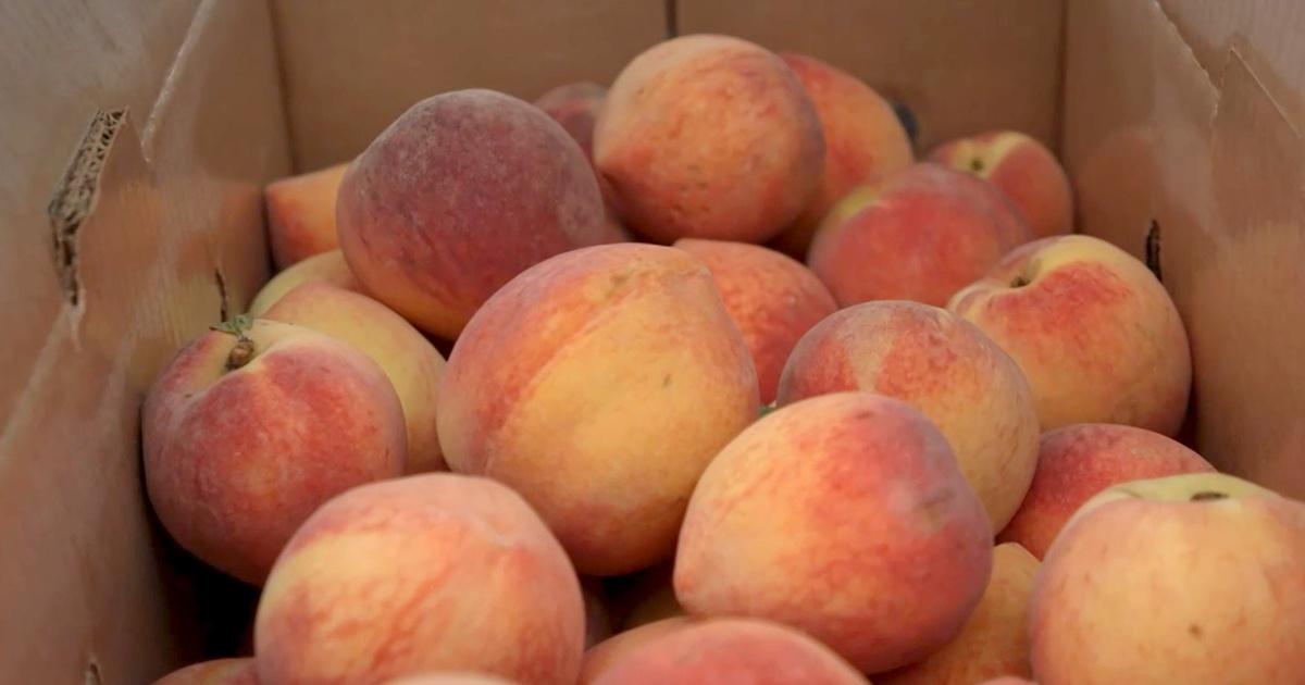 25# Box Sweet Georgia Peaches