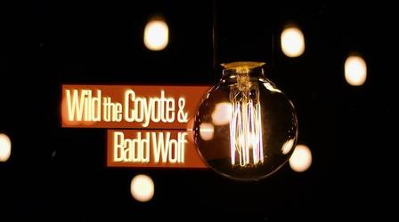 Video thumbnail: Studio 49 Wild The Coyote & BADD WOLF