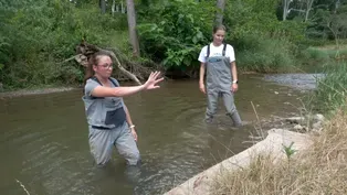 Saving Turtle Creek – A Conservation Success Story