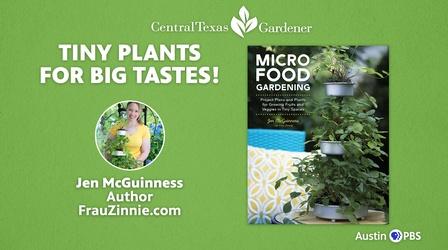 Video thumbnail: Central Texas Gardener Tiny Plants for Big Tastes!