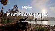 TRAILER | NOVA 5304 | NOVA | Mammal Origins