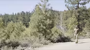 There’s More to Tahoe