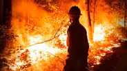 Firefighters work to contain Wharton State Forest wildfire