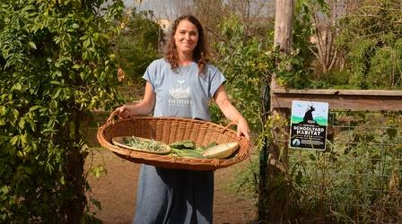 Video thumbnail: Central Texas Gardener Cultivate Holistic Living with Permaculture Design