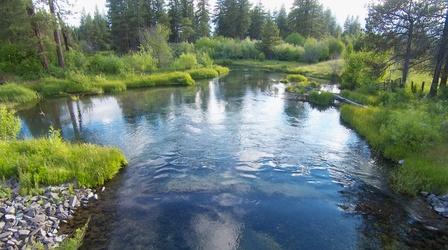 Video thumbnail: Oregon Field Guide Fort Creek Photo Essay