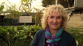 Video thumbnail: A Growing Passion Distant Roots and Tasty Shoots: Plants At The Zoo