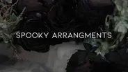 Spooky Arrangements with Ashley.