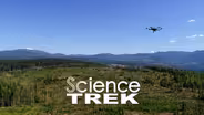 Forests: Flying Drones for the Trees