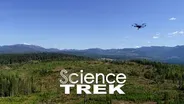 Forests: Flying Drones for the Trees