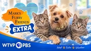 Seven Second Rule, Seven Eleven and Slinky | Mark's Furry Friends Extra