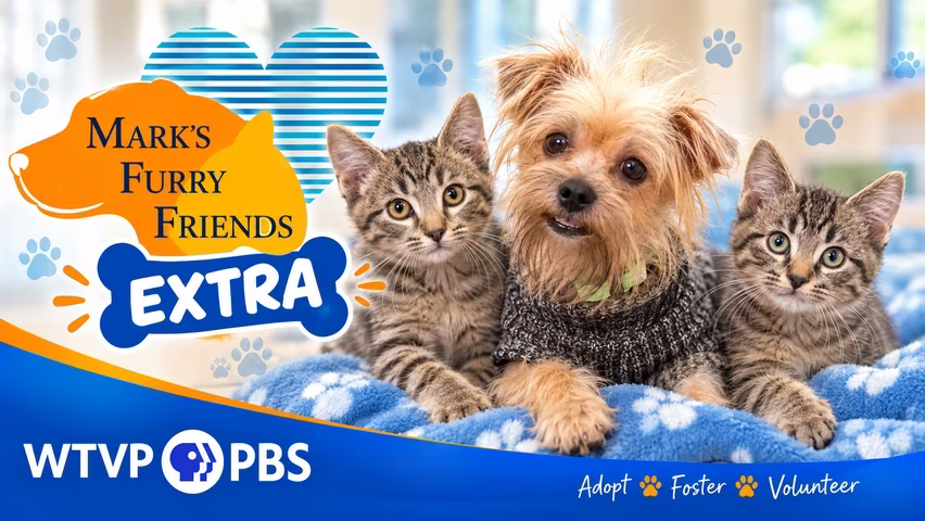 Mark’s Furry Friends