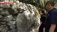 Natural Stone Walls